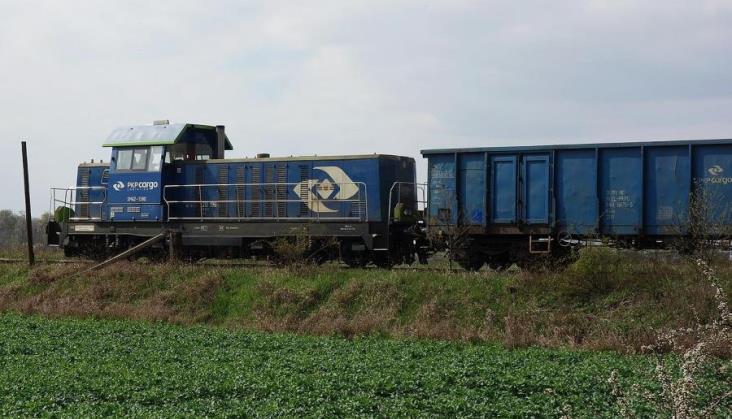 Spór w PKP Cargo: Związki podzielone w sprawie protestu