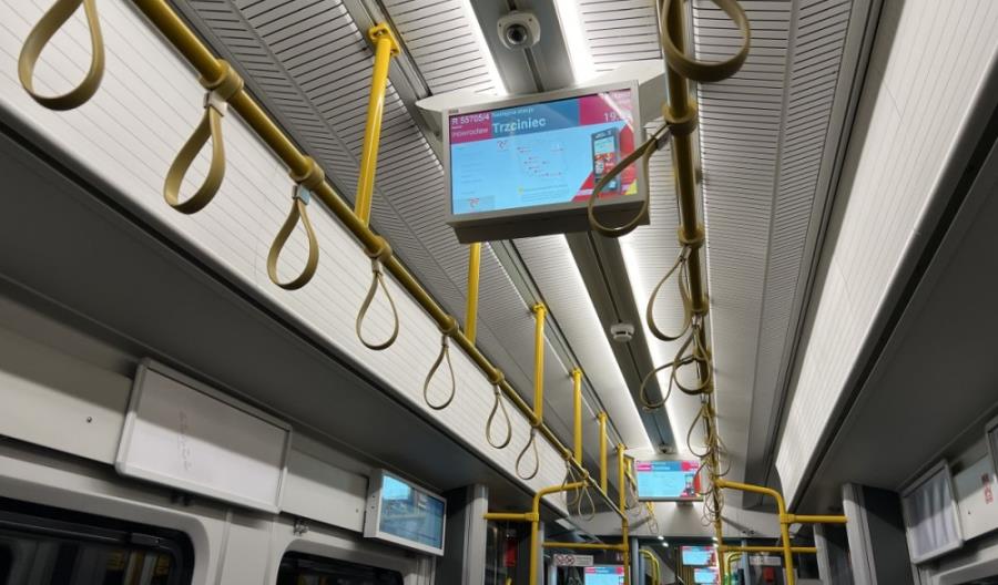 Jakie są nowe kujawskie Elfy?