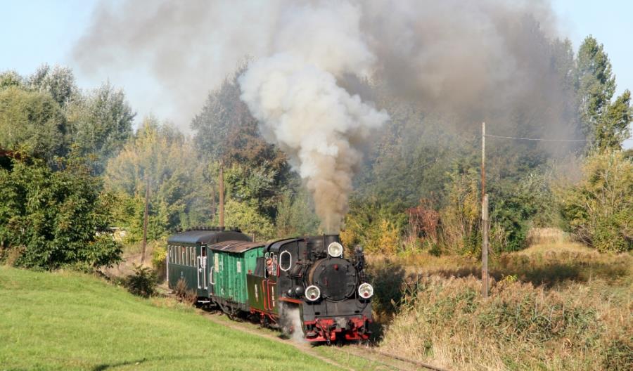 Koleje wąskotorowe potrzebują szerokiego wsparcia