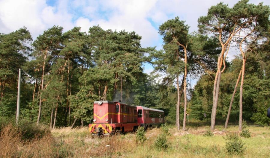 Koleje wąskotorowe potrzebują szerokiego wsparcia