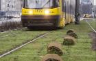 Tramwaje Warszawskie z ofertami na zazielenienie torowisk