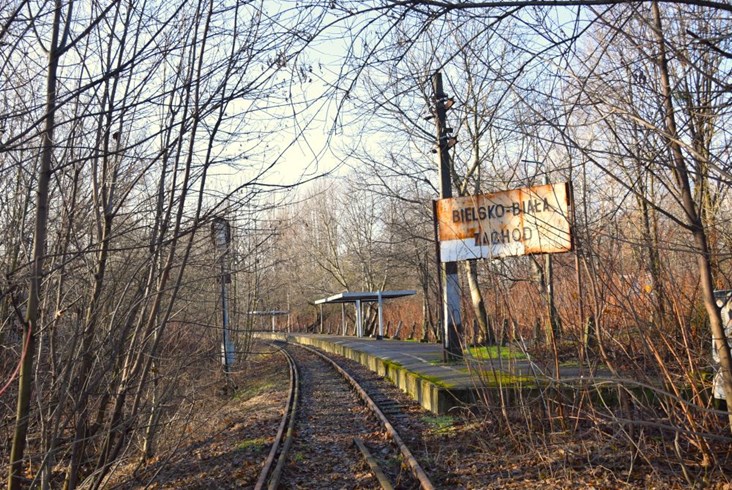 Linia 190 Skoczów – Bielsko-Biała dziesięć lat po przejechaniu ostatnich pociągów