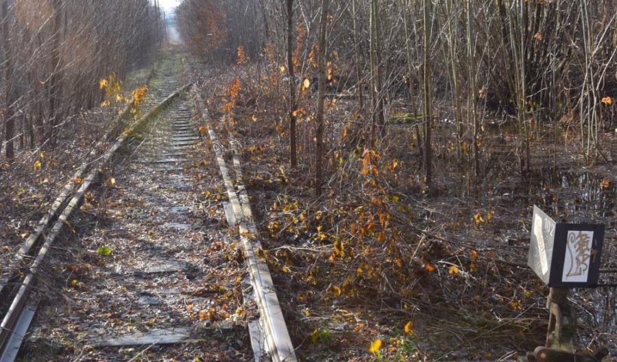 Linia 190 Skoczów – Bielsko-Biała dziesięć lat po przejechaniu ostatnich pociągów