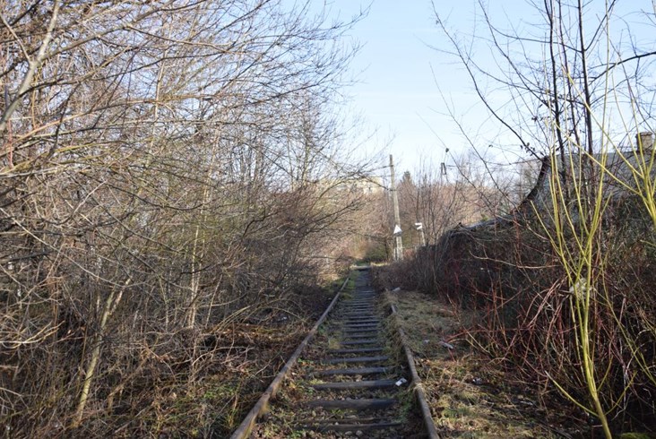 Linia 190 Skoczów – Bielsko-Biała dziesięć lat po przejechaniu ostatnich pociągów