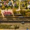 Elektryfikacja linii kolejowej Ełk – Giżycko zapewni szybki i sprawny transport koleją