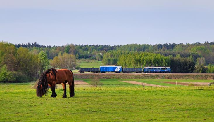 Wagony ze zbożem z Ukrainy mają wjechać zaplombowane