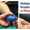 Kolejowa Kropla Krwi już po raz ósmy