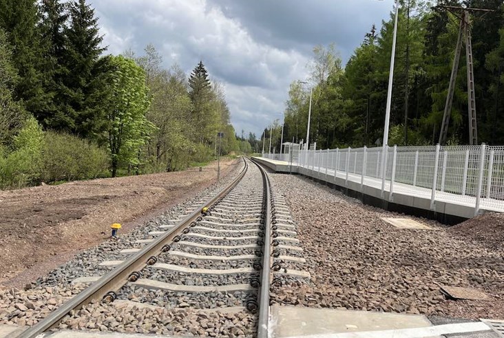 Las, cisza, peron i 8 pociągów tygodniowo
