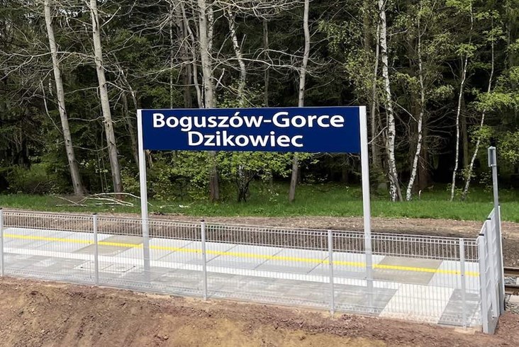 Las, cisza, peron i 8 pociągów tygodniowo