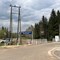 Las, cisza, peron i 8 pociągów tygodniowo