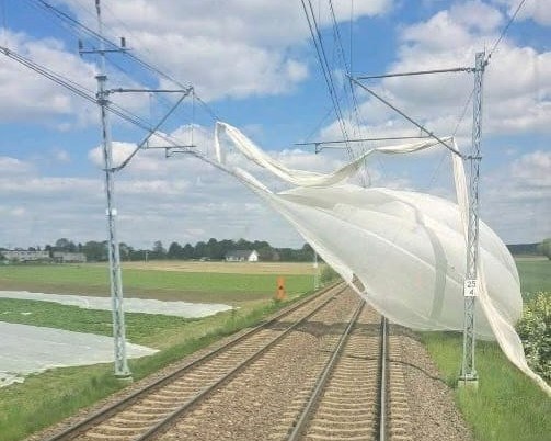 PKP PLK: Мы боремся с задержками, вызванными халатностью фермеров