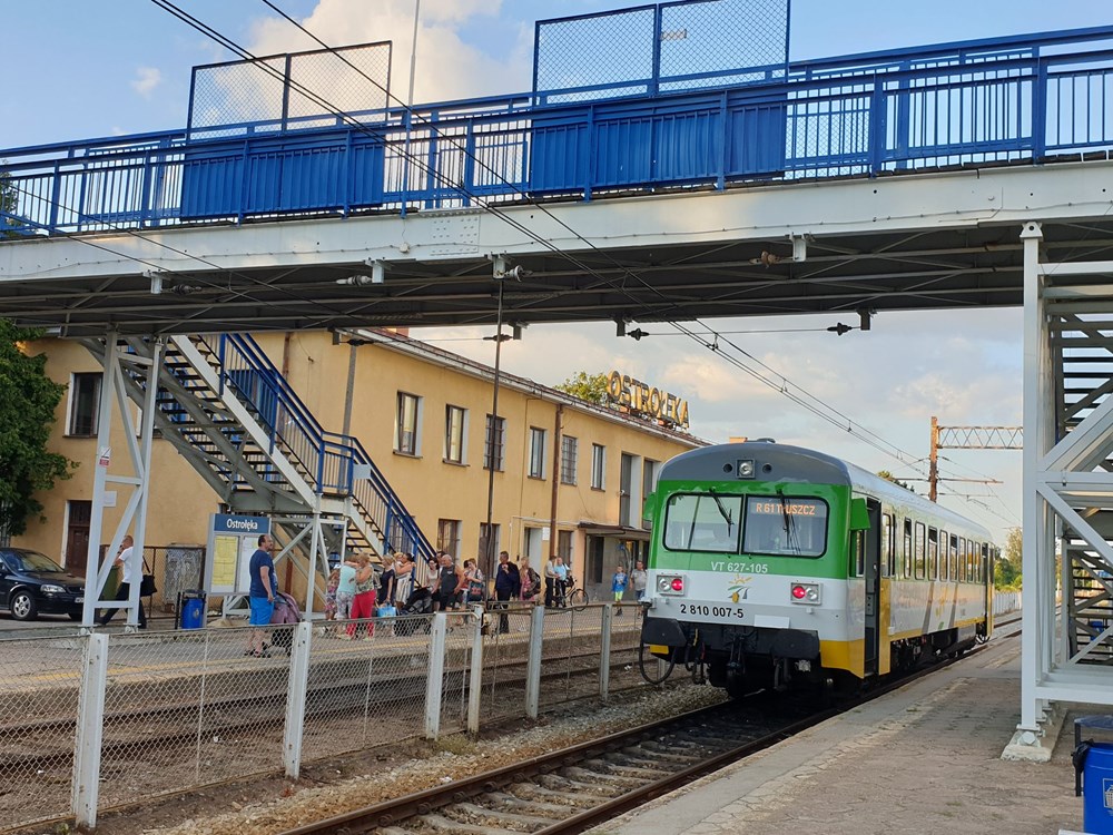 Mazowieckie uruchomi więcej pociągów do Radomia, Ostrołęki i Żyrardowa