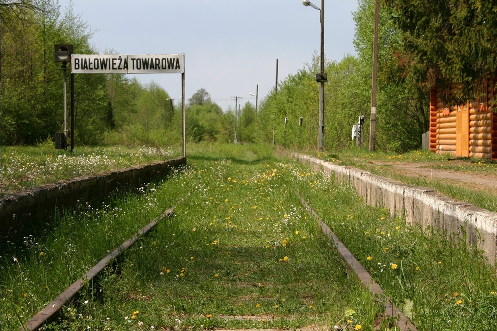 Pociągi dalekobieżne nie pojadą do Białowieży