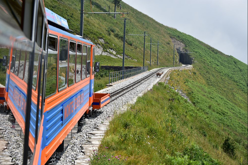 Szwajcaria: Pociągiem na szczyt Monte Generoso