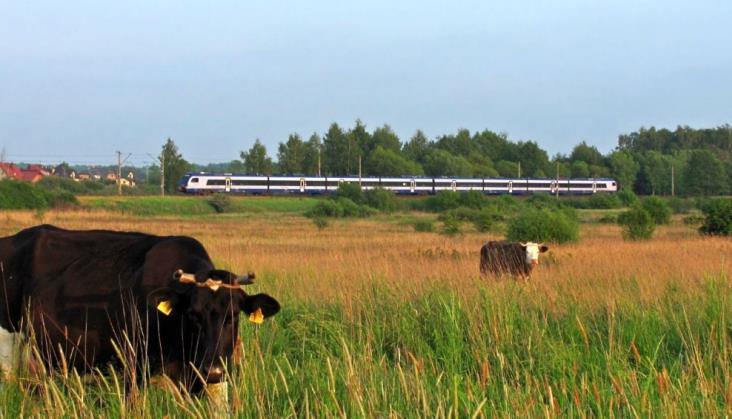 Czerwcowa korekta rozkładu jazdy – nowe przystanki PKP IC