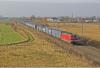 Ciekawa akcja polskiego DB Cargo – bezpłatne badania