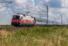 Rozkład – nie lada wyzwanie dla wszystkich (cz. 1)