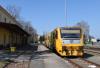 České dráhy, RegioJet i Leo Express na plusie