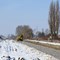 Łuków – Lublin: Remont linii na ostatniej prostej Łuków – Lublin: Remont linii na ostatniej prostej