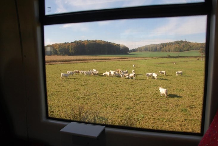 Ostatnie pociągi Jelenia Góra – Lwówek Śląski. Co stanie się z linią? [zdjęcia]