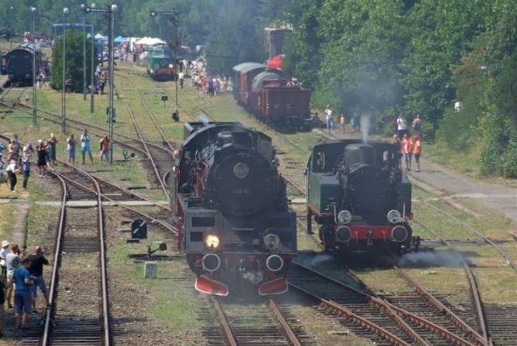 Parada Lokomotyw w Międzychodzie. Najpierw trzeba przygotować stacje Parada Lokomotyw w Międzychodzie. Najpierw trzeba przygotować stacje
