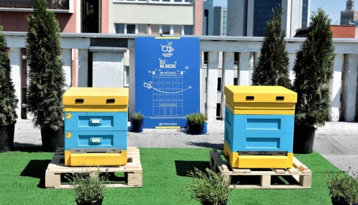 Pracowite pszczoły na dachu siedziby PKP Cargo