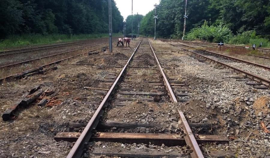 Parada Lokomotyw w Międzychodzie. Najpierw trzeba przygotować stacje