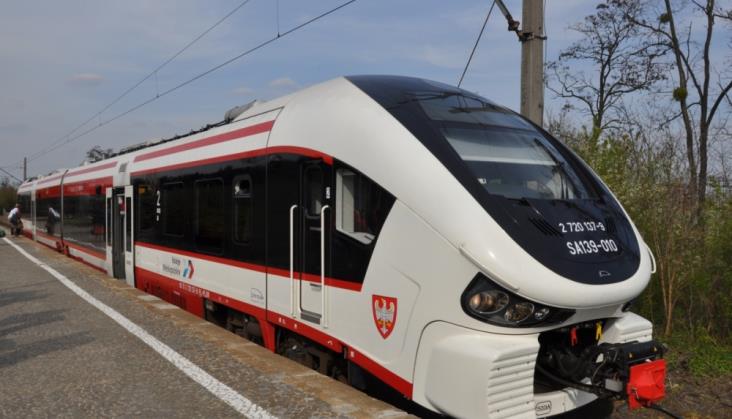 KW przygotowuje kroki prawne wobec PLK. Chcą zabezpieczeń przed kolizjami ze zwierzyną