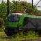 Griffin już w PKP Cargo