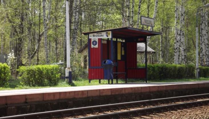 Do końca roku nowy konkurs na przystanki WKD