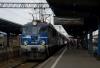 PKP Intercity chwali się dobrymi wynikami w lipcu